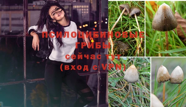 гашиш Абинск