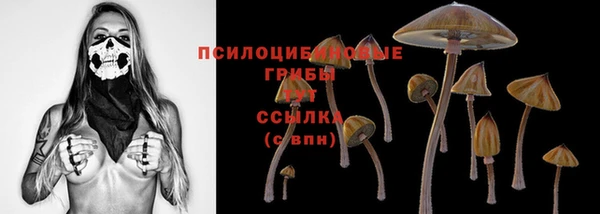 таблы Осташков