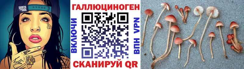 Псилоцибиновые грибы ЛСД как найти закладки Новотитаровская