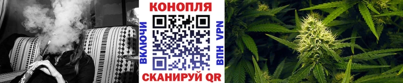 Конопля SATIVA & INDICA  Новотитаровская 